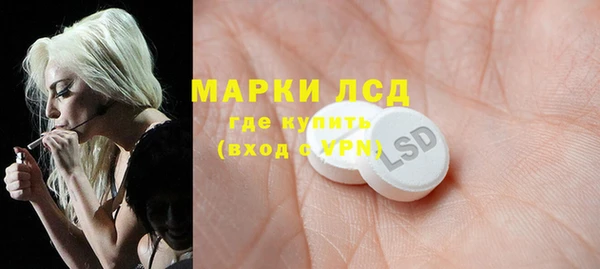 соль ск Пересвет