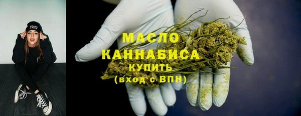 Альфа ПВП Бородино