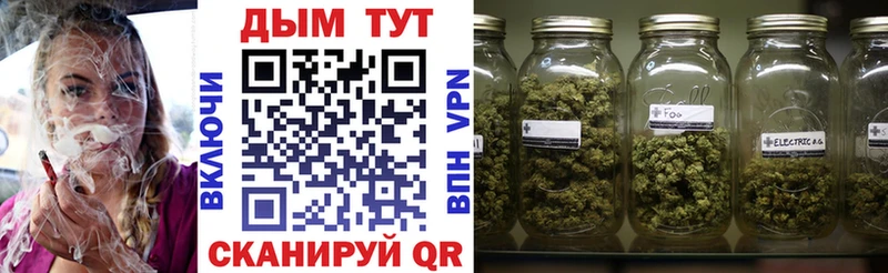 ОМГ ОМГ   Мурино  Бошки Шишки SATIVA & INDICA 